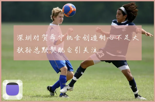 深圳对贺希宁机会创造耐心不足大秋孙总默契配合引关注